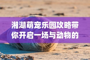 湘湖萌宠乐园攻略带你开启一场与动物的亲密接触之旅