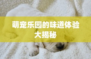 萌宠乐园的味道体验大揭秘
