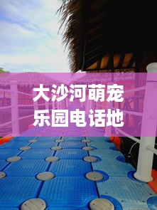 大沙河萌宠乐园电话地址及游玩攻略