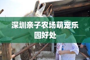 深圳亲子农场萌宠乐园好处