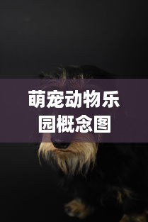 萌宠动物乐园概念图