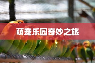 萌宠乐园奇妙之旅