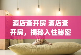 酒店查开房 酒店查开房，揭秘入住秘密，这些技巧你一定要知道！