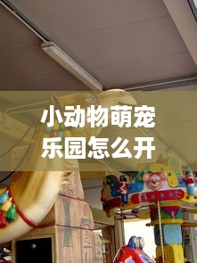 小动物萌宠乐园怎么开