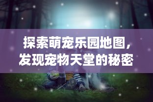 探索萌宠乐园地图，发现宠物天堂的秘密