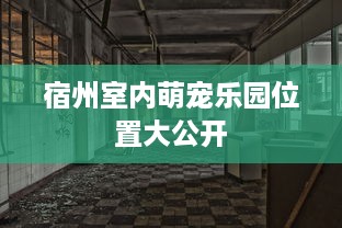 宿州室内萌宠乐园位置大公开