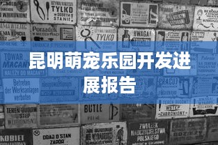 昆明萌宠乐园开发进展报告
