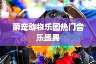 萌宠动物乐园热门音乐盛典