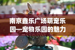 南京鑫乐广场萌宠乐园—宠物乐园的魅力与欢乐