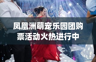凤凰洲萌宠乐园团购票活动火热进行中