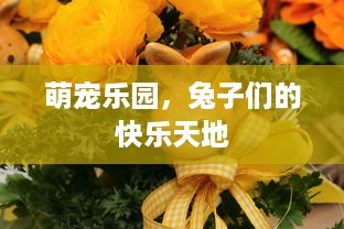 萌宠乐园，兔子们的快乐天地