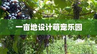 一亩地设计萌宠乐园