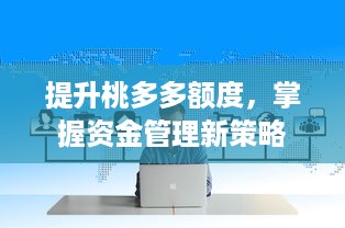 提升桃多多额度，掌握资金管理新策略