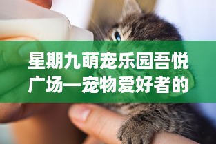 星期九萌宠乐园吾悦广场—宠物爱好者的天堂