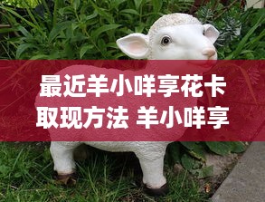 最近羊小咩享花卡取现方法 羊小咩享花卡取现攻略，轻松操作，畅享便捷生活！