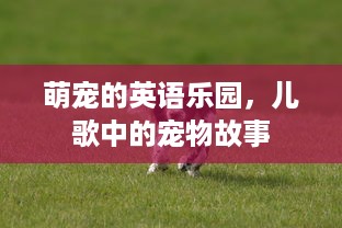 萌宠的英语乐园，儿歌中的宠物故事