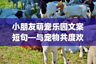 小朋友萌宠乐园文案短句—与宠物共度欢乐时光
