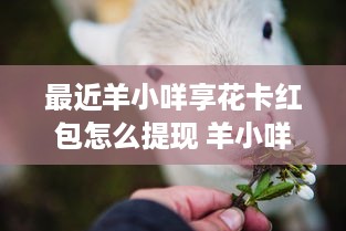 最近羊小咩享花卡红包怎么提现 羊小咩享花卡红包提现攻略，轻松变现，让你的红包不再沉睡