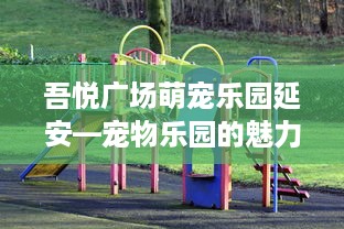 吾悦广场萌宠乐园延安—宠物乐园的魅力与欢乐