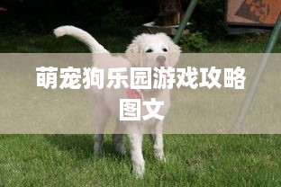 萌宠狗乐园游戏攻略图文