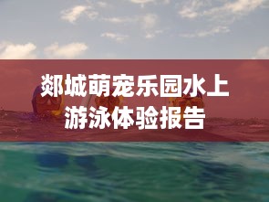 郯城萌宠乐园水上游泳体验报告
