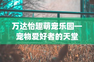 万达怡趣萌宠乐园—宠物爱好者的天堂