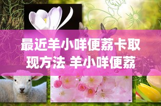 最近羊小咩便荔卡取现方法 羊小咩便荔卡取现攻略，轻松搞定，让你随时随地取钱！