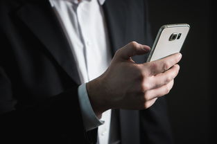 揭秘查开房记录app，风险、争议与合法使用探讨