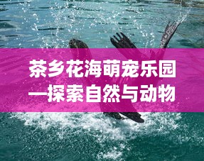 茶乡花海萌宠乐园—探索自然与动物的奇妙之旅