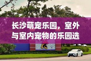 长沙萌宠乐园，室外与室内宠物的乐园选择