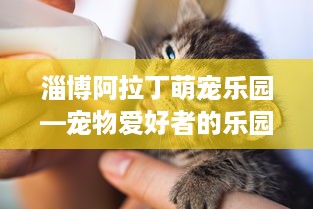 淄博阿拉丁萌宠乐园—宠物爱好者的乐园