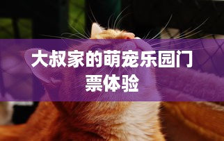大叔家的萌宠乐园门票体验