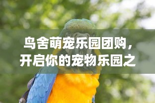 鸟舍萌宠乐园团购，开启你的宠物乐园之旅