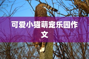 可爱小猫萌宠乐园作文