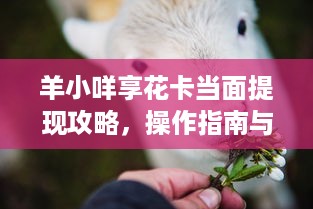 羊小咩享花卡当面提现攻略，操作指南与案例分析