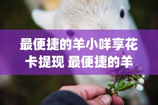 最便捷的羊小咩享花卡提现 最便捷的羊小咩享花卡提现，轻松赚钱不是梦！