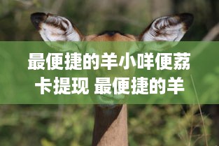 最便捷的羊小咩便荔卡提现 最便捷的羊小咩便荔卡提现攻略，轻松到账不是梦！