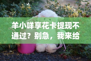 羊小咩享花卡提现不通过？别急，我来给你解答！