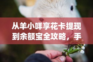 从羊小咩享花卡提现到余额宝全攻略，手把手教你安全操作