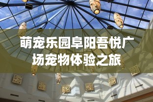 萌宠乐园阜阳吾悦广场宠物体验之旅