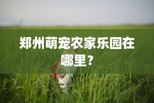 郑州萌宠农家乐园在哪里？