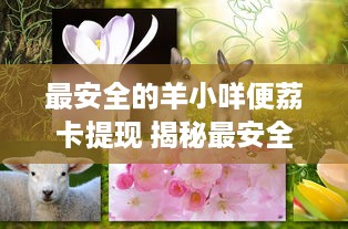 最安全的羊小咩便荔卡提现 揭秘最安全的羊小咩便荔卡提现攻略，让你轻松安全到账！