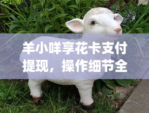 羊小咩享花卡支付提现，操作细节全解析