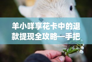 羊小咩享花卡中的退款提现全攻略—手把手教你操作