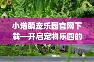 小诺萌宠乐园官网下载—开启宠物乐园的奇妙之旅
