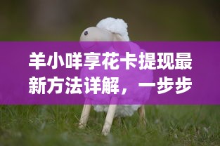 羊小咩享花卡提现最新方法详解，一步步教你轻松操作