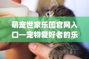 萌宠世家乐园官网入口—宠物爱好者的乐园之旅