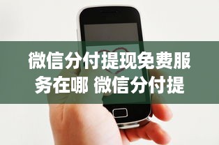 微信分付提现免费服务在哪 微信分付提现免费服务大揭秘，揭秘免费提现的秘密基地！