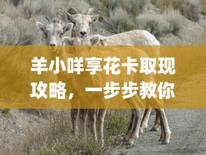 羊小咩享花卡取现攻略，一步步教你如何操作