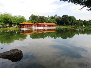 江西温泉萌宠乐园地址及案例介绍